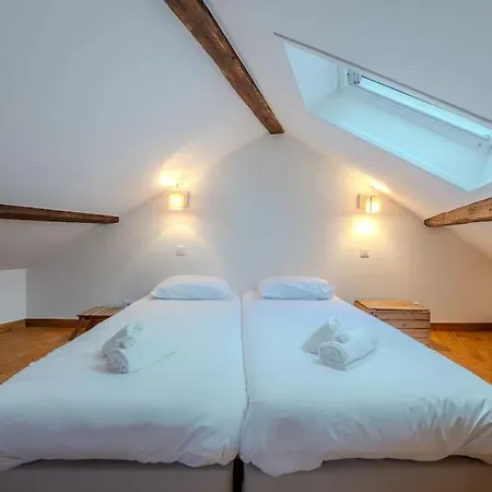 דירה Maison Cocoon - Proche Gare Et Gem - Wifi Fibre גרנובל